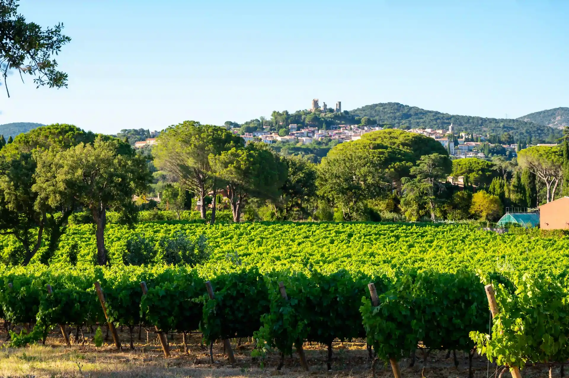 Visiter les domaines viticoles dans le Var.