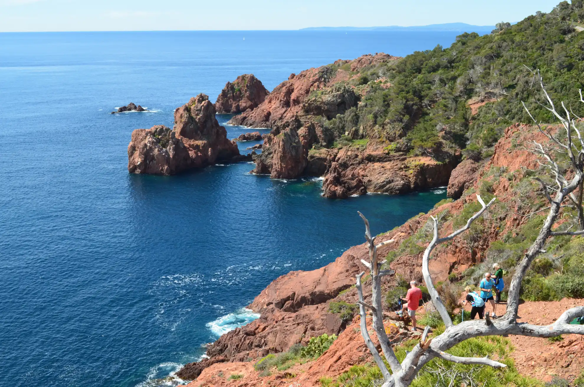 Découvrez les plus belles randonnées dans le massif de l'Esterel !